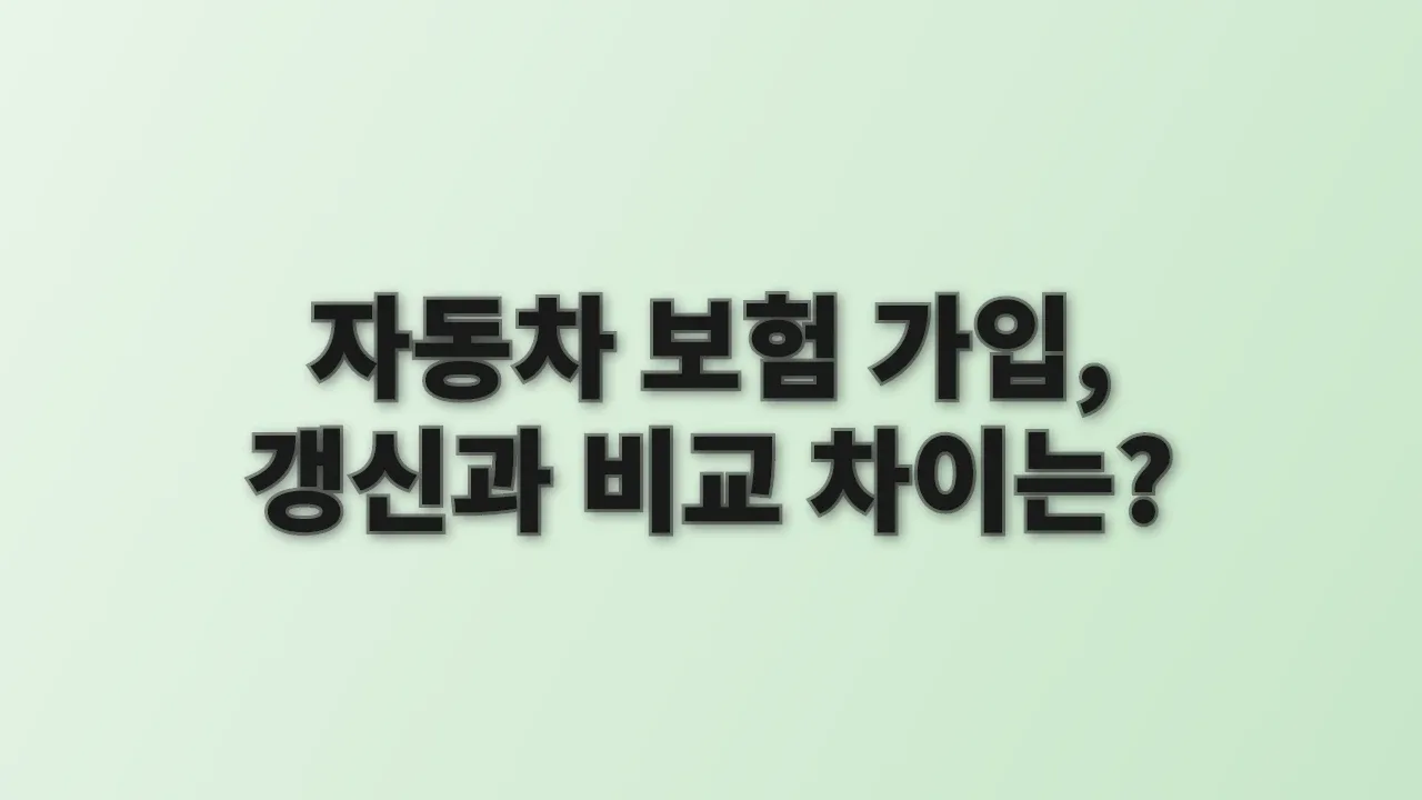 자동차 보험 가입, 갱신과 비교 차이는?